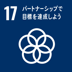 17パートナーシップで目標を達成しよう